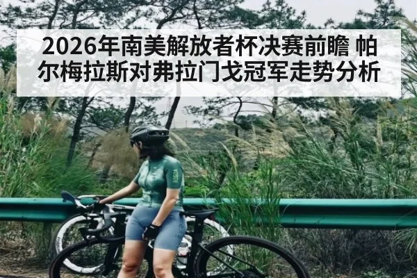 2026年南美解放者杯决赛前瞻 帕尔梅拉斯对弗拉门戈冠军走势分析